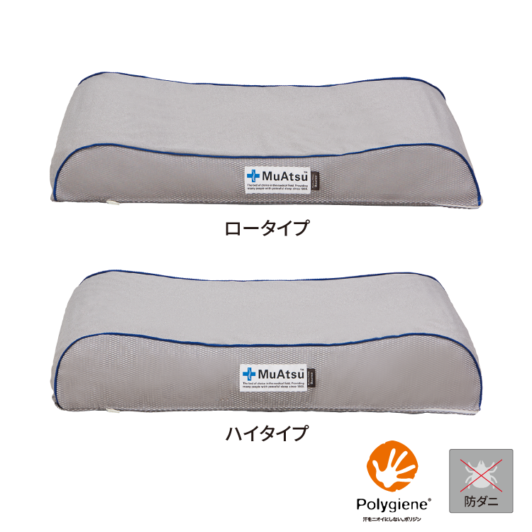 もみの木風】30-40cm 100本+@ 常温発送 エゾマツ？ （訳あり品 もみの 