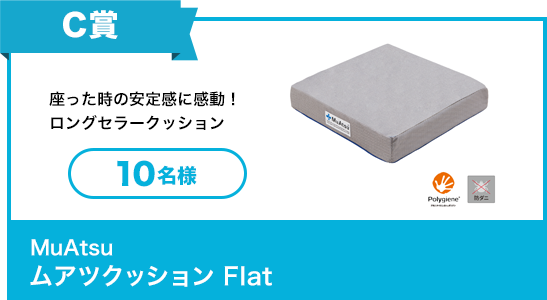 MuAtsu ムアツクッション Flat